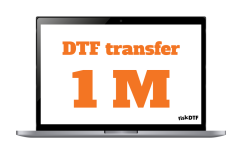 DTF transfer 30 x 100 cm  Hot Peel
